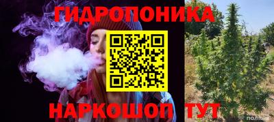 ПСИЛОЦИБИНОВЫЕ ГРИБЫ Владивосток