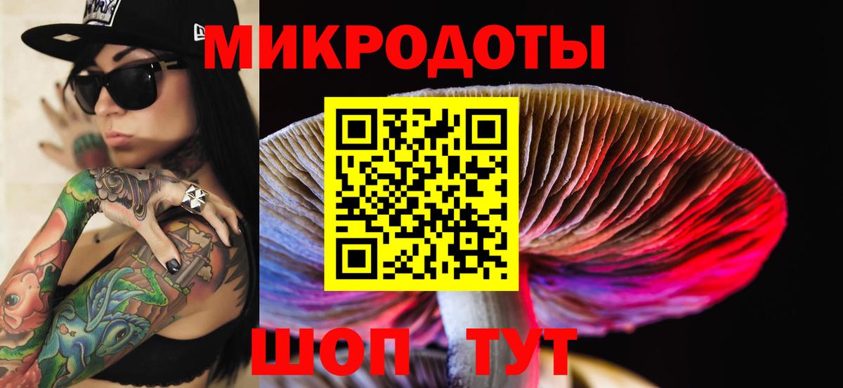 Галлюциногенные грибы мухоморы  продажа наркотиков  Ревда  Вход с VPN 